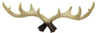 Antlers Hook