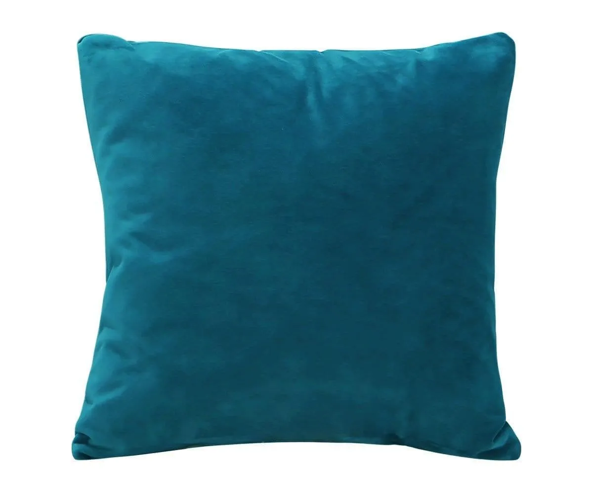 Joei Velvet Pillow