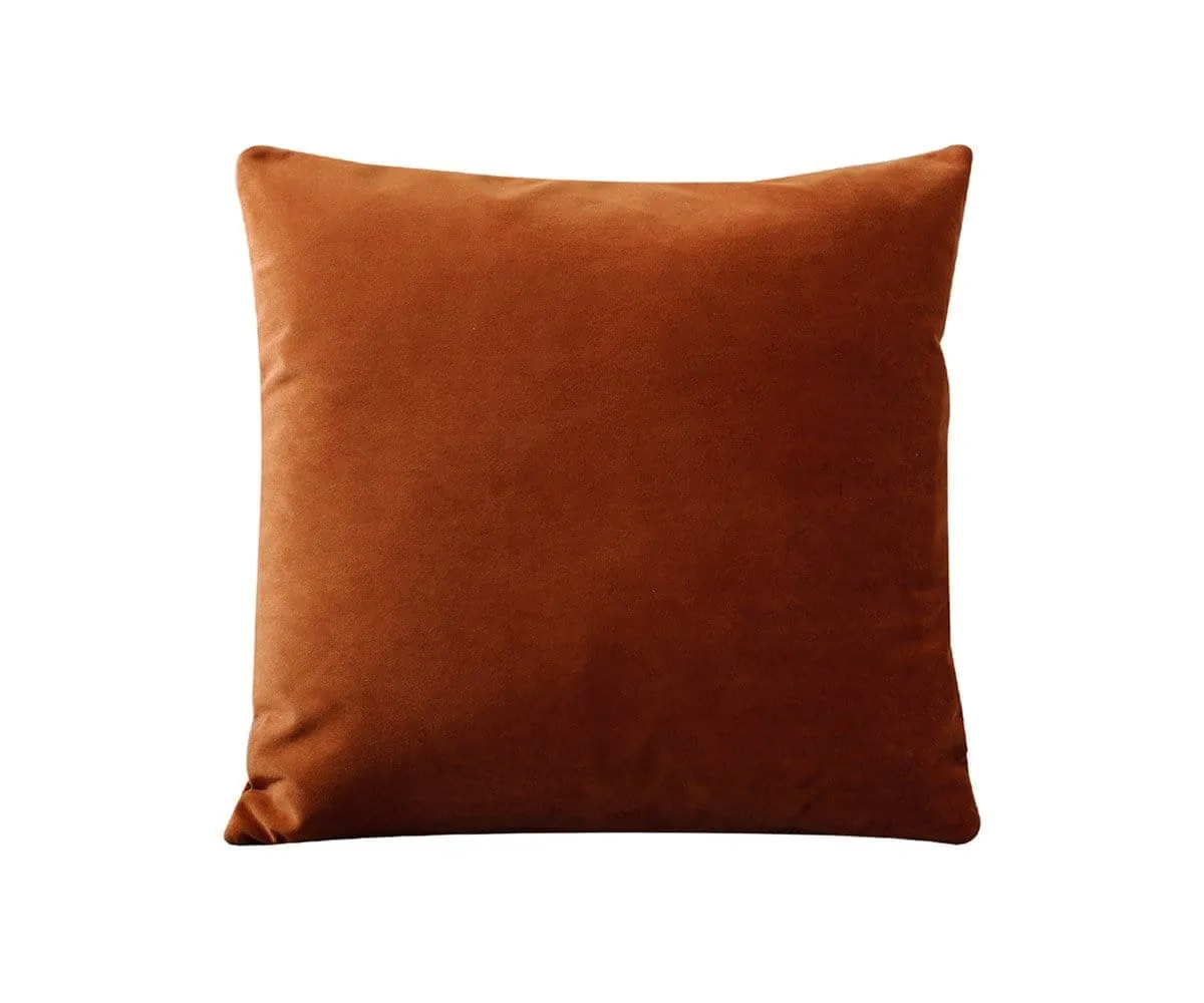 Joei Velvet Pillow