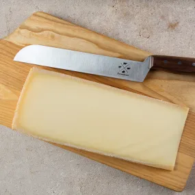 Professional Cheese Knife